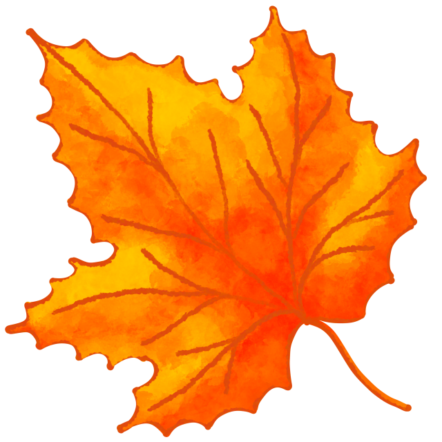 オレンジ色の画像