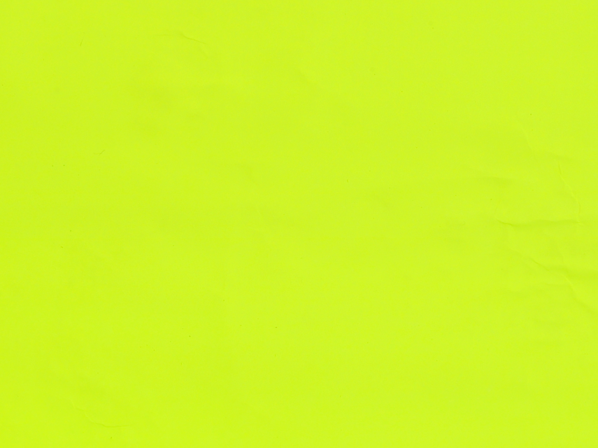 黄緑色の画像