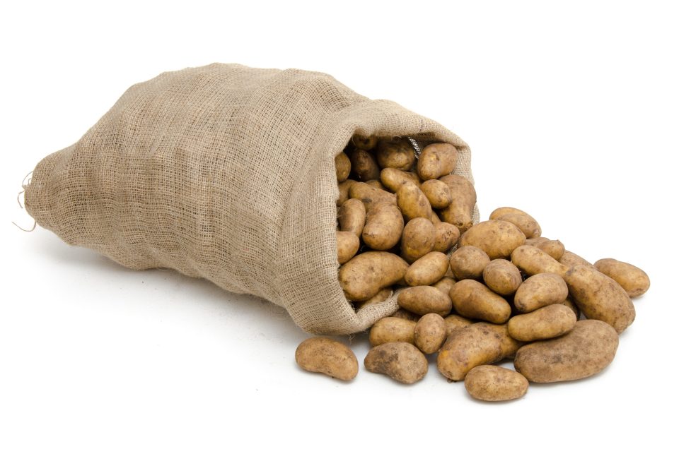 大きな袋の画像